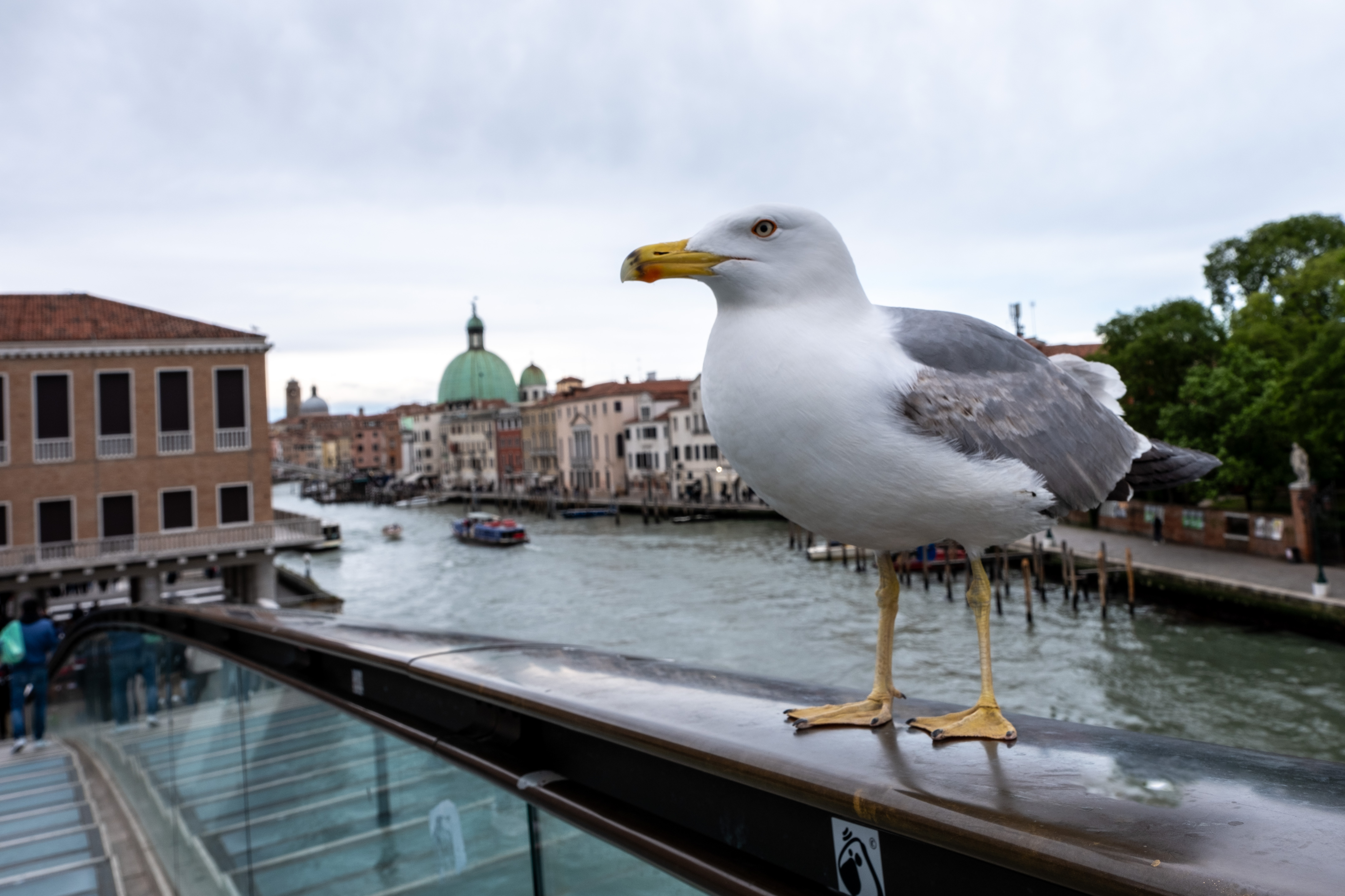 2024 04 21  xt 5   1700